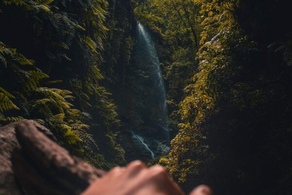 cristian-palmer-763347-unsplash